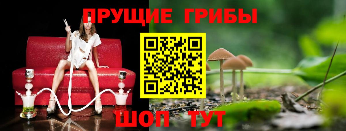 Псилоцибиновые грибы Magic Shrooms  Вход с VPN  Петропавловск-Камчатский 