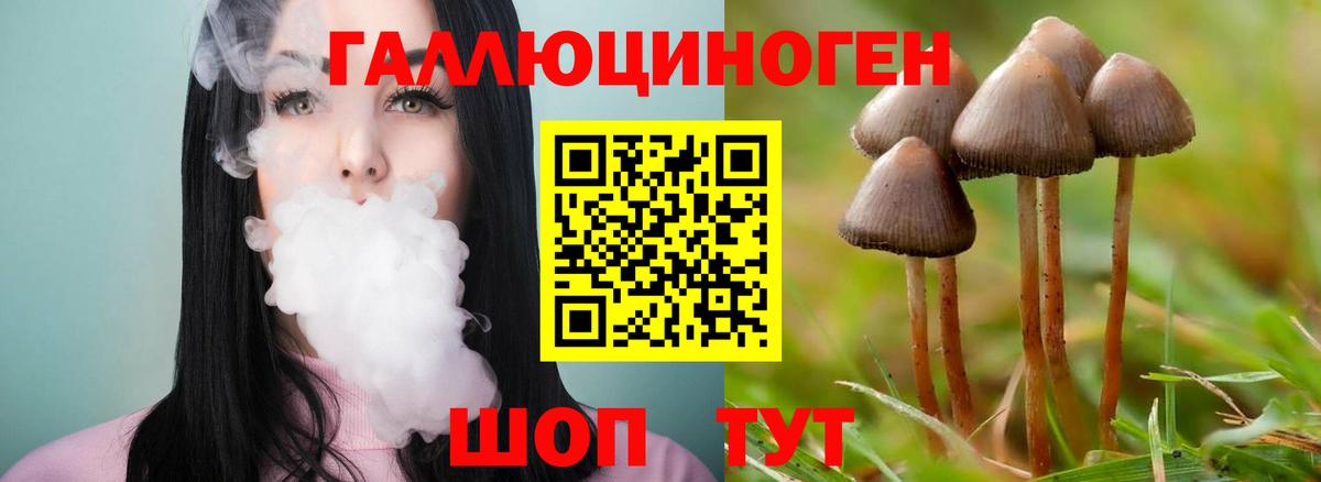 Псилоцибиновые грибы ЛСД Петропавловск-Камчатский